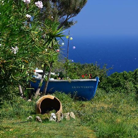Panoramma Hause, Kampos Evdilou,Ikaria Lejlighed Evdilos  Eksteriør billede